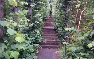 Edinburgh Fringe 2014 – Day 2 (Six shows)
